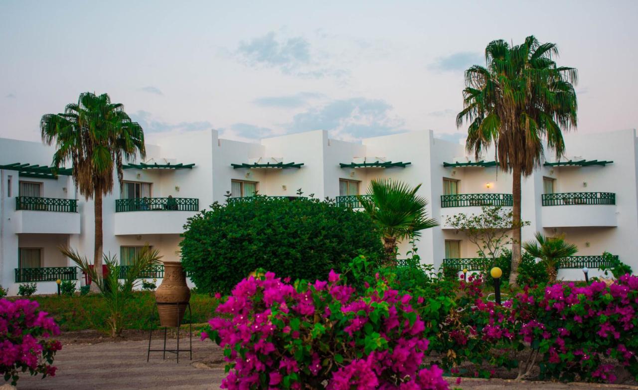 Coral Beach Resort Montazah (Adults Only) Sharm el-Sheikh Exterior photo