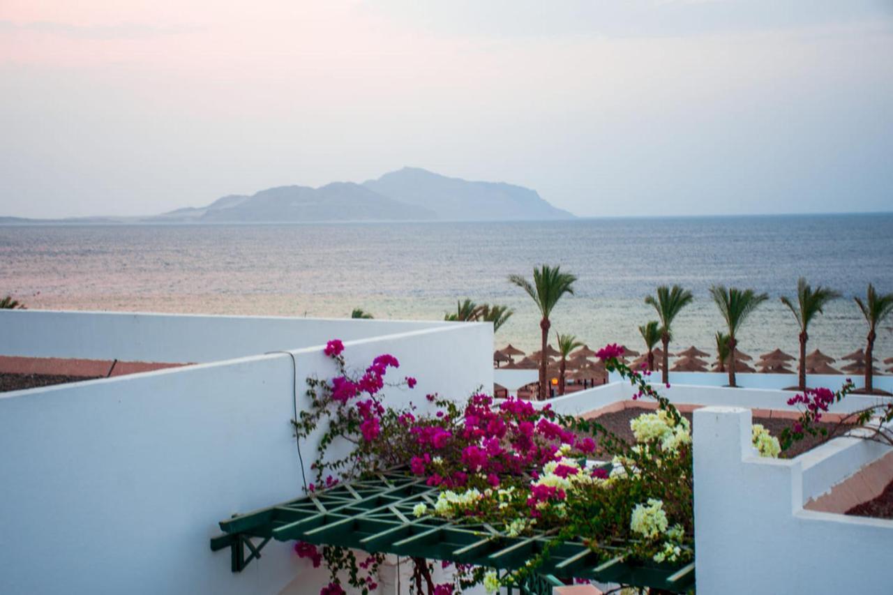 Coral Beach Resort Montazah (Adults Only) Sharm el-Sheikh Exterior photo